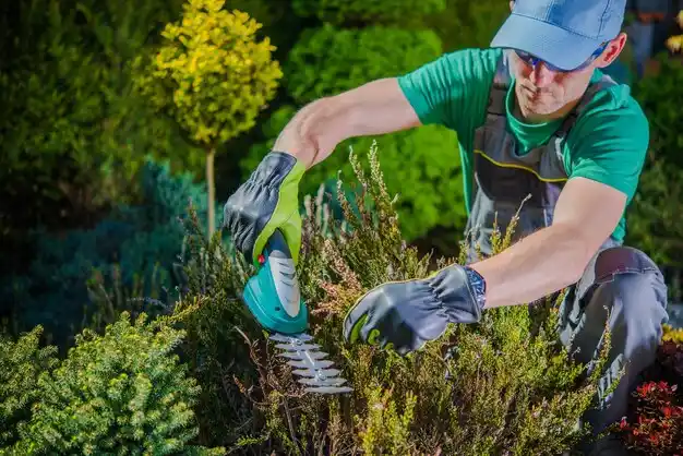 landscaping services Bay Port